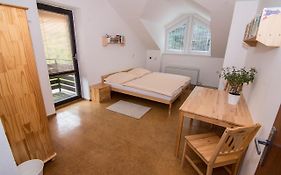 Apartmán Lorien Nekoř